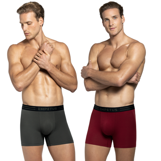 ΑΝΔΡΙΚΑ BOXER 2PACK / IM1221L14P2